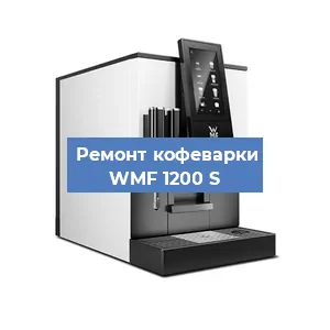 Чистка кофемашины WMF 1200 S от накипи в Новосибирске